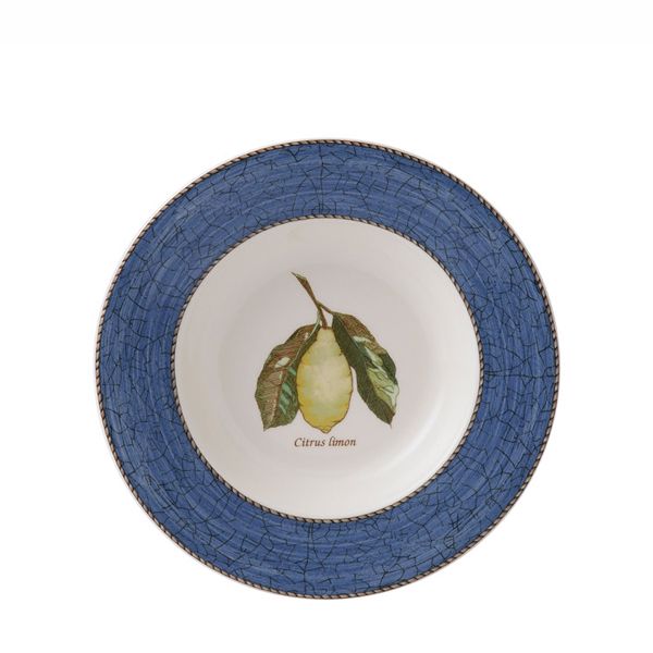 Wedgwood Sarah's Garden Diep bord 22cm - blauw